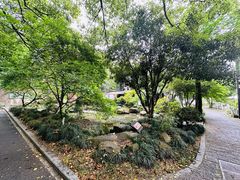 -杭州植物园
