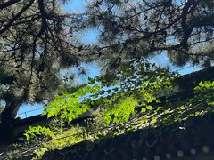 -潭柘寺景区