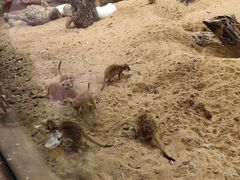 -武汉动物园