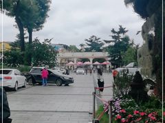 -昆明动物园