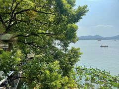 -湖畔居茶楼(湖滨店)
