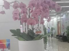 -茂菊口腔连锁(浦东南路店)