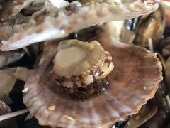 -海帮主·蒸汽海鲜青岛菜(栈桥火车站店)