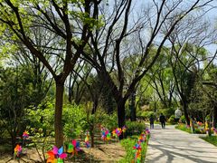 -南宫五洲植物乐园