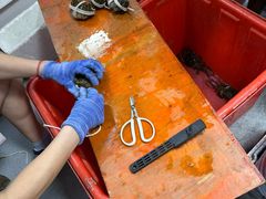 -阳澄湖大闸蟹·琼灵阁牌品牌连锁(吴中总店)