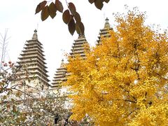 -北京石刻艺术博物馆(五塔寺)