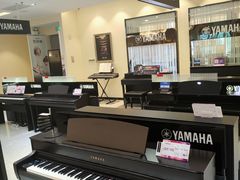 -知音艺术教育培训·钢琴培训·音乐培训(河西金鹰世界校区)