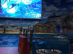 -福州罗源湾海洋世界旅游区