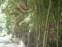 -沕沕水生态风景区