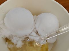 -南海冰室·新式潮汕茶饮(南海店)