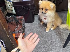-老姐石板烧烤+铜炭火锅(总店)