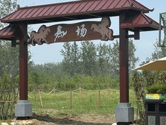 -合肥滨湖国家森林公园