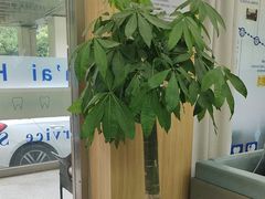 -上海仁爱医院口腔科 · 种植