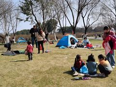 -九里河湿地公园