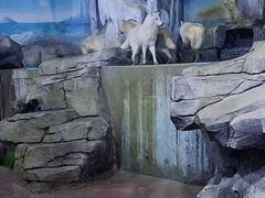 -多彩贵州城极地海洋世界