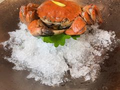 -人间采蜜(海信广场店)