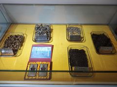 -上海昆虫博物馆