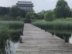 -大明幻境第一城