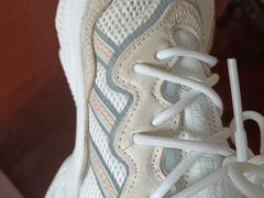 -威特斯国际洗衣(威特斯星光耀店)