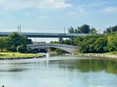 -宝安西湾红树林湿地公园