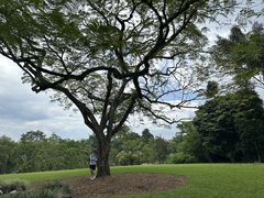 -中国科学院西双版纳热带植物园