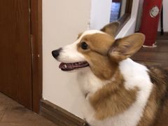 -有猫主题·治愈系猫咖(曾厝垵店)