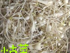 -快乐老家三鲜饺子东北菜(南六中路店)