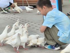 -天津妈祖文化园