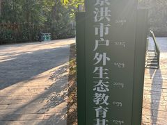 -野象谷景区