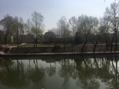 -金隅八达岭温泉度假村餐厅