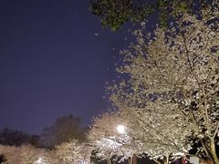 -堤角公园