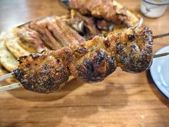 -宝山一号馕坑肉