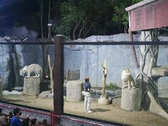 -清迈夜间动物园