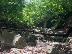 -本溪汤沟绿石谷森林公园