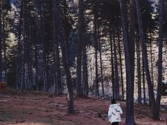 -硗碛藏寨·神木垒景区