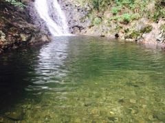 东天目山风景区-东天目山风景区