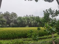 -北坞公园