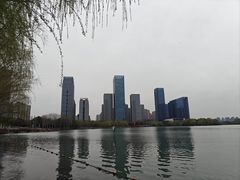 -天鹅湖体育公园