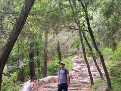 -阳台山自然风景区