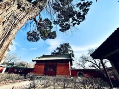 -晋祠公园