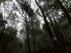 -杭州黄龙洞