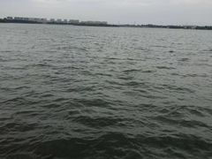 -丁香湖公园