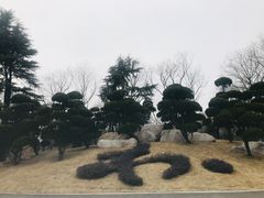 -朴园