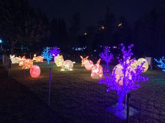 -映月湖公园