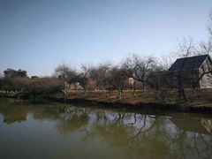 -西安浐灞国家湿地公园