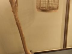 -鼎族怡华·指压·经络·疗愈SPA(紫荆店)