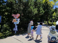 -西霞口神雕山野生动物世界