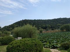 -龙寺生态园