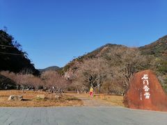 -广州市石门国家森林公园