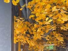 -食悦江南·淮扬菜·烤鸭(亚运村·惠新店)